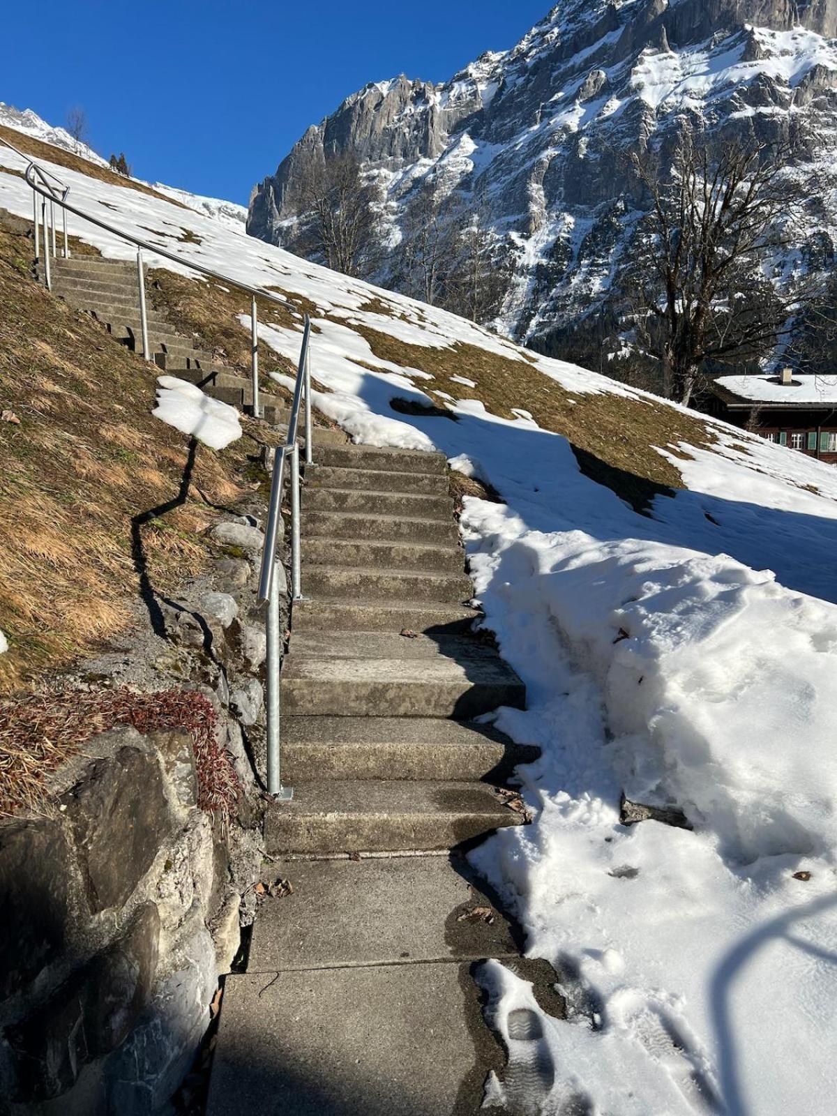 Beautiful 2 In A Location Grindelwald